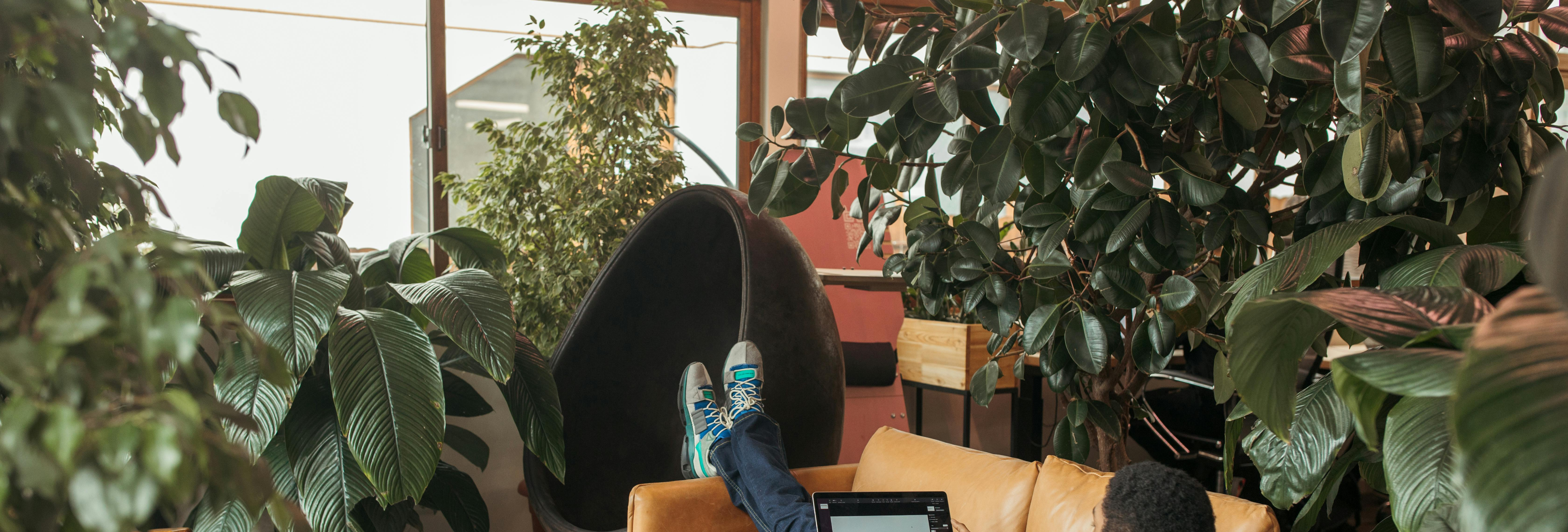 LEED Ratings Explained: How They Work and Why They Matter