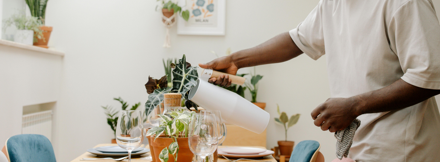 How to Care for Indoor Plant Soil with 5 Simple, Uncommon Tips