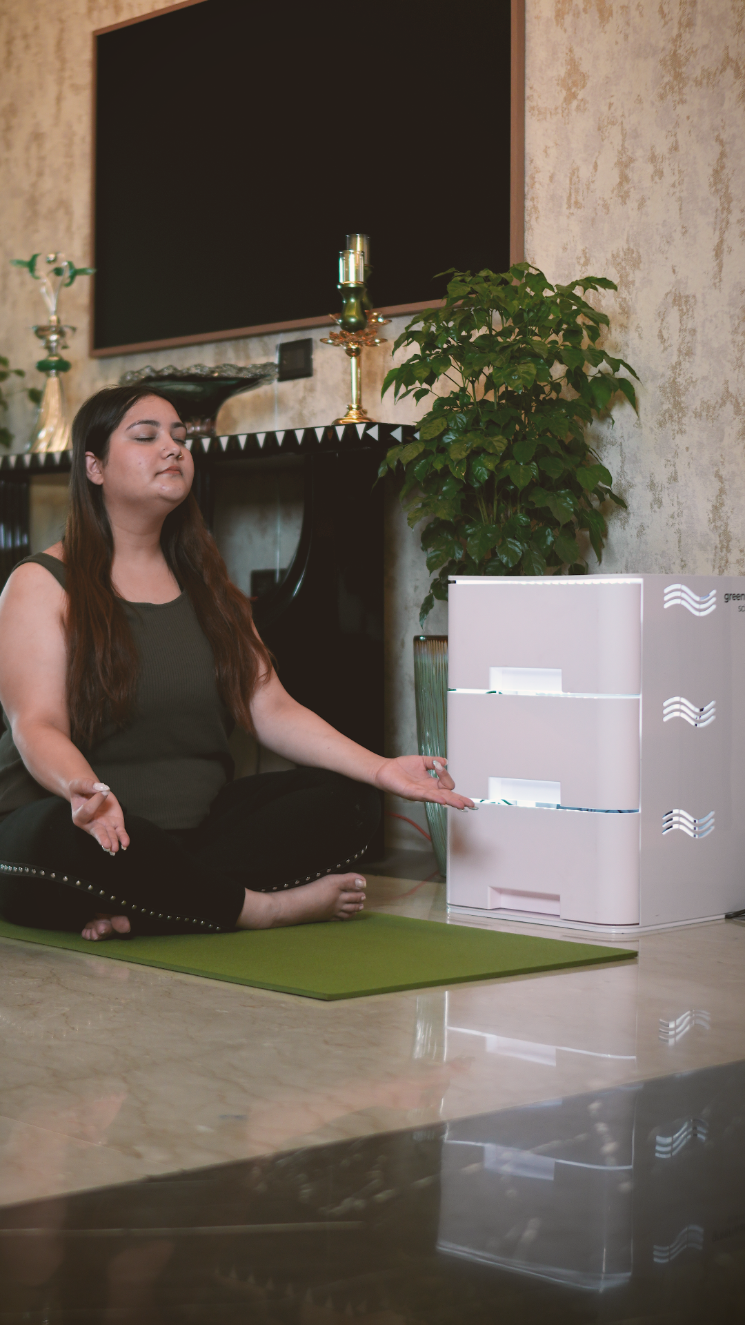 greenwaterHOME: world's first indoor Air Synthesizer